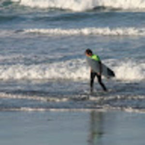 Meet your Posher, Josh